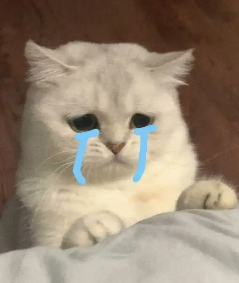 Đã mắt với loạt crying banana cat meme cực đỉnh