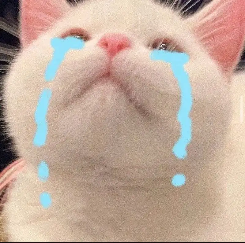 Trọn bộ banana cat cry meme hot trend 2025