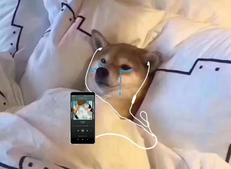 Dân đầu tư sẽ thích to the moon crypto meme cực gắt