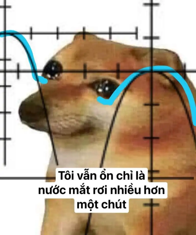 Nỗi buồn đồng tiền với cry money meme