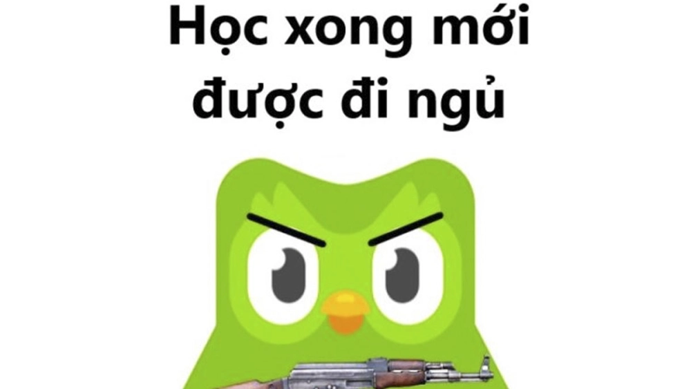 Cười sặc với loạt duolingo memes siêu lầy hot nhất hôm nay