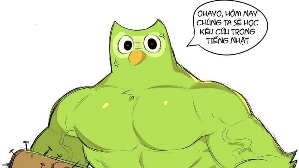 Gà mờ ngoại ngữ chắc chắn sẽ yêu meme duolingo