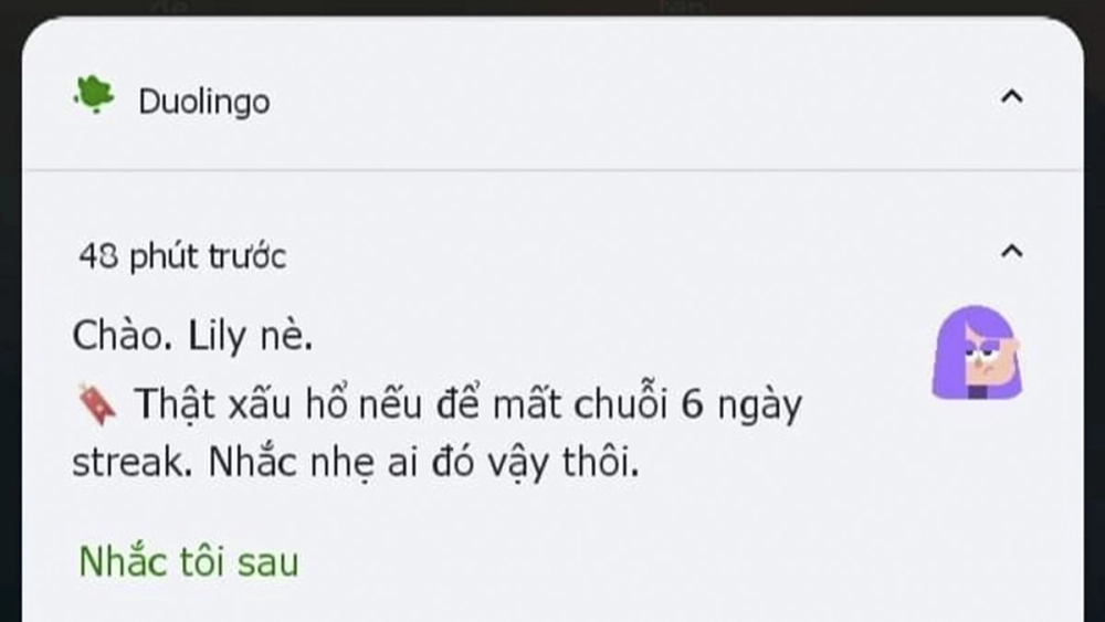 Dân Việt mê mẩn duolingo meme tiếng việt