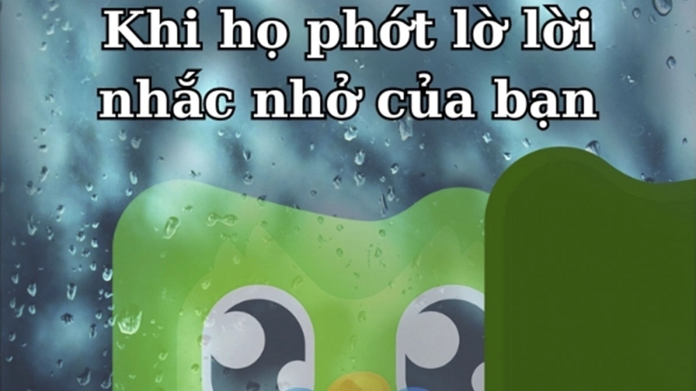 Bộ sưu tập duolingo meme png siêu chất lượng