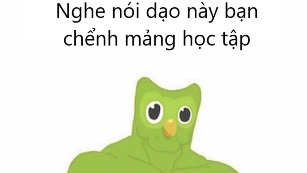 Gà tiếng Anh chắc chắn biết duolingo meme việt nam