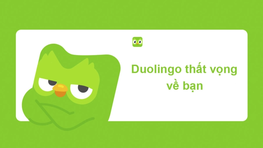 Gặp ngay cú xanh trong duolingo meme ita