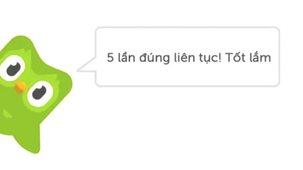 Top trending duolingo memes twitter khiến cộng đồng mạng phát cuồng