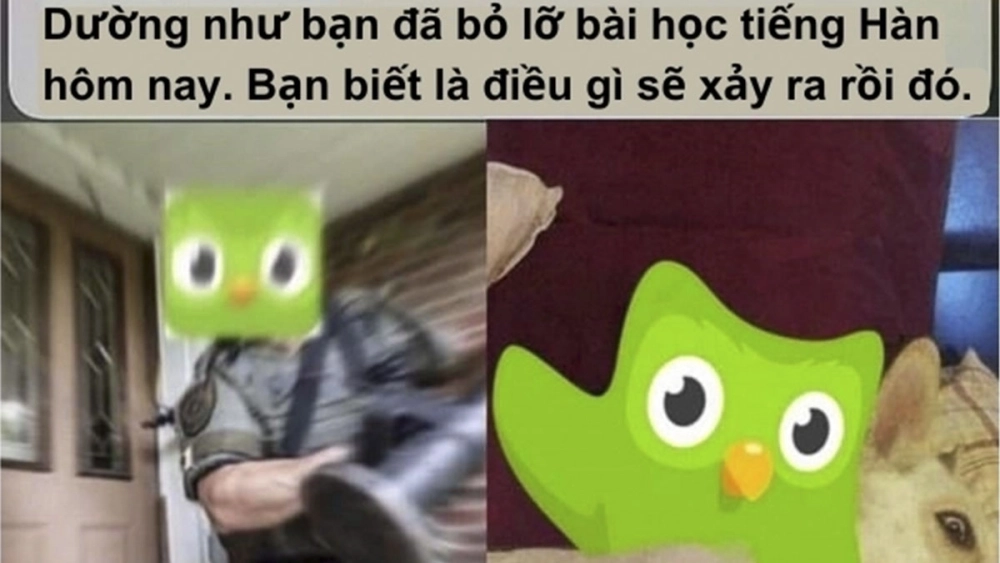 Tấu hài đa ngôn ngữ với duolingo meme chinese