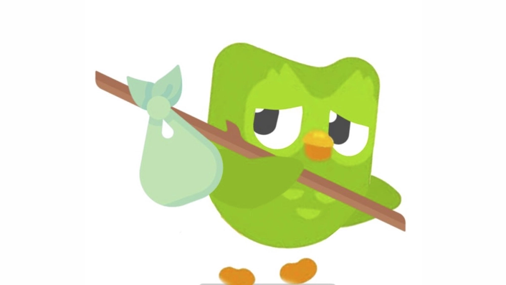 Khi Harry học ngoại ngữ bằng harry potter duolingo meme