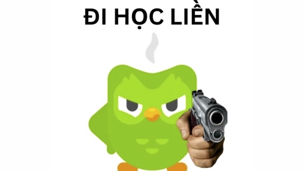 Cập nhật ngay hình duolingo meme cực dễ thương