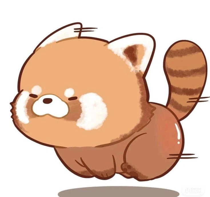 Bé gấu mèo chibi này khiến ai cũng phải tan chảy