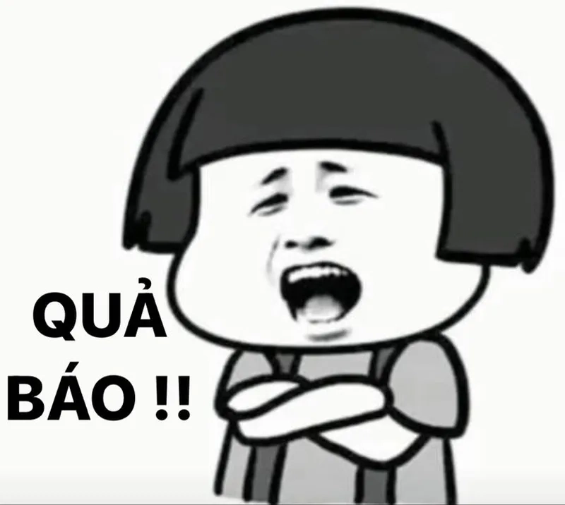 Gấu trúc nổi giận trông mà thương meme gấu trúc tức giận