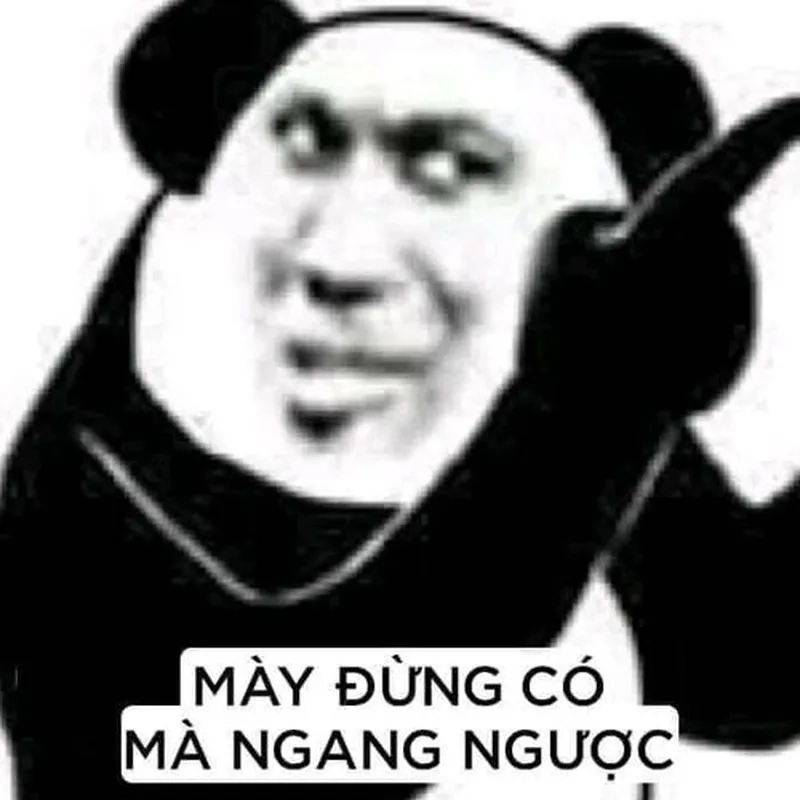 Thâm quầng vì mất ngủ meme gấu trúc mất ngủ