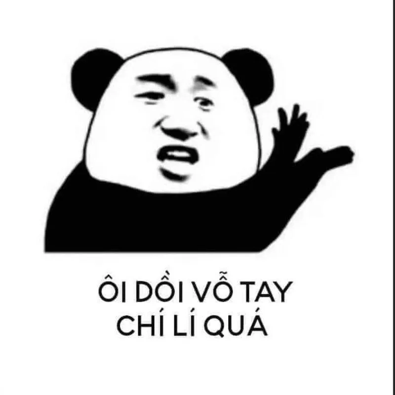Gấu trúc chễm chệ trên avatar avatar gấu trúc meme