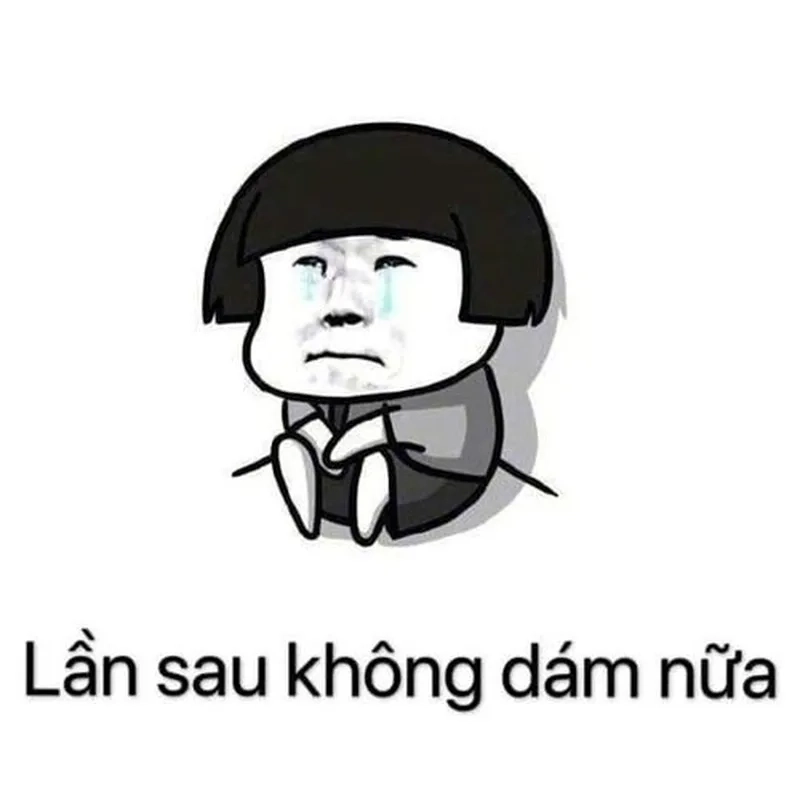Gấu trúc đỏ mặt meme gấu trúc ngại trông dễ cưng