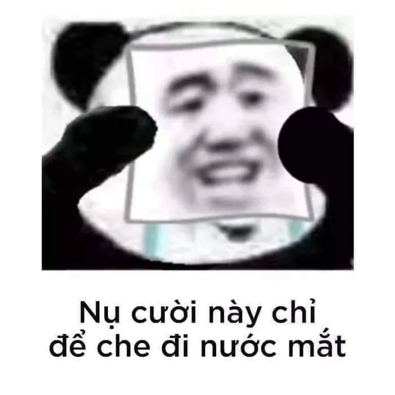 Không hiểu chuyện gì luôn meme gấu trúc chấm hỏi