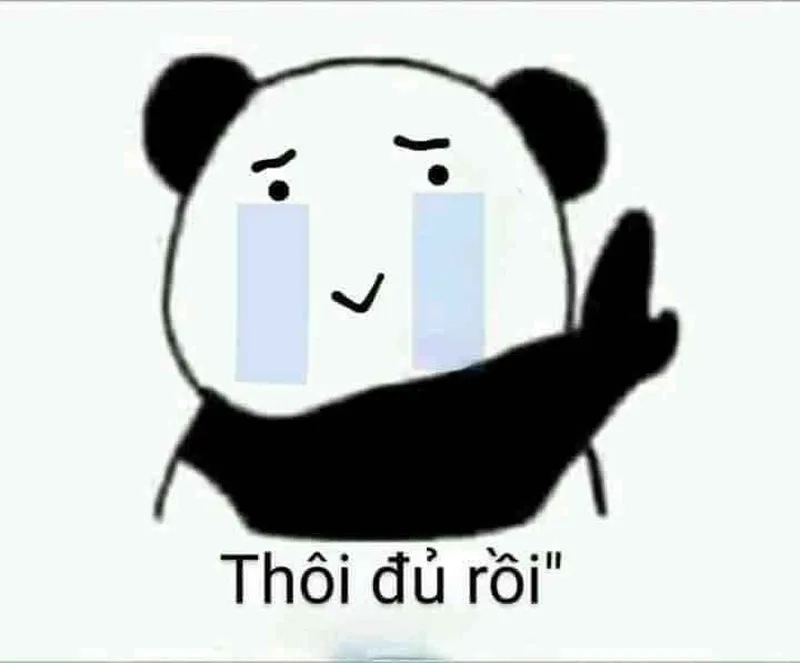 Fan panda đâu rồi panda meme gấu trúc hot trend