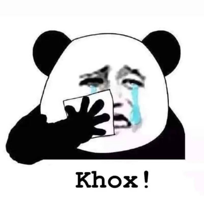 Nhìn mà không hiểu gì luôn meme gấu trúc khó hiểu