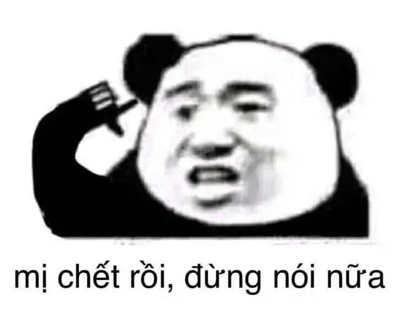 Cực chill với meme gấu trúc mất ngủ đêm khuya