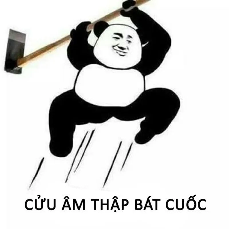 Dành cho ai thích meme lầy meme gấu trúc meme chửi tục