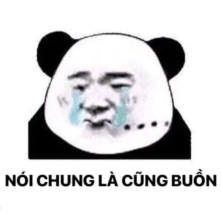 Khi gấu trúc cũng biết meme ảnh meme gấu trúc