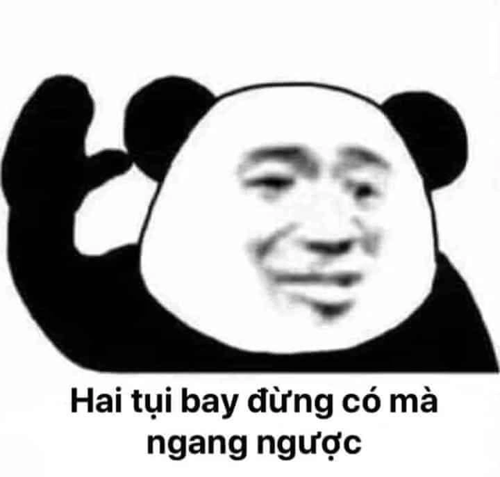 Độ cute của con gấu trúc meme là vô cực