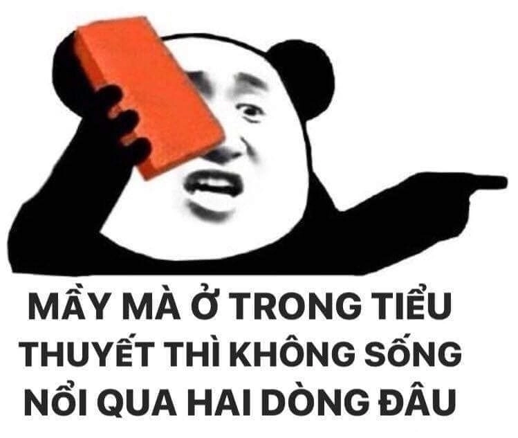 Cười mệt nghỉ cùng meme hài hước hài hước meme gấu trúc