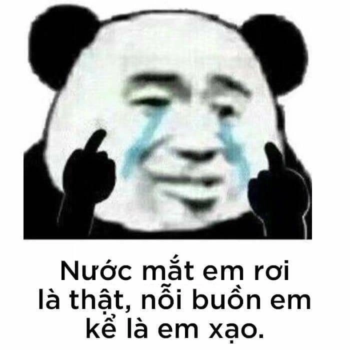 Top ảnh troll là ảnh meme hài gấu trúc