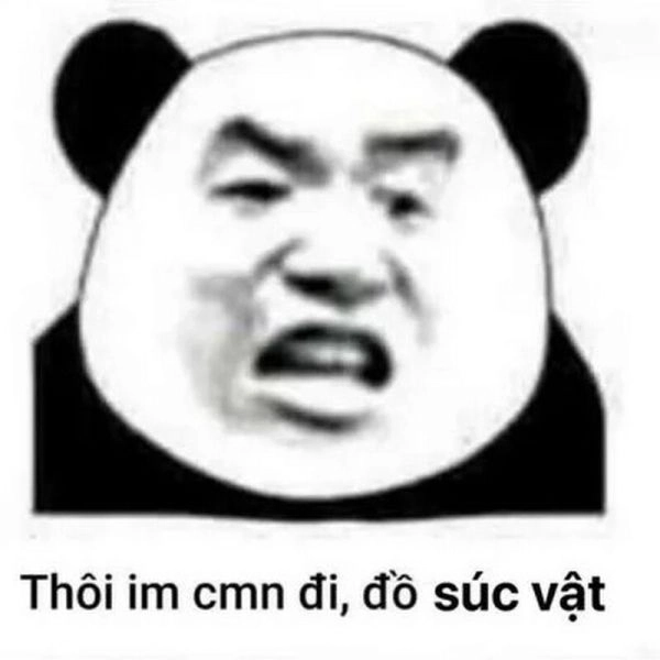 Hài bựa phong cách Trung Quốc meme gấu trúc bựa