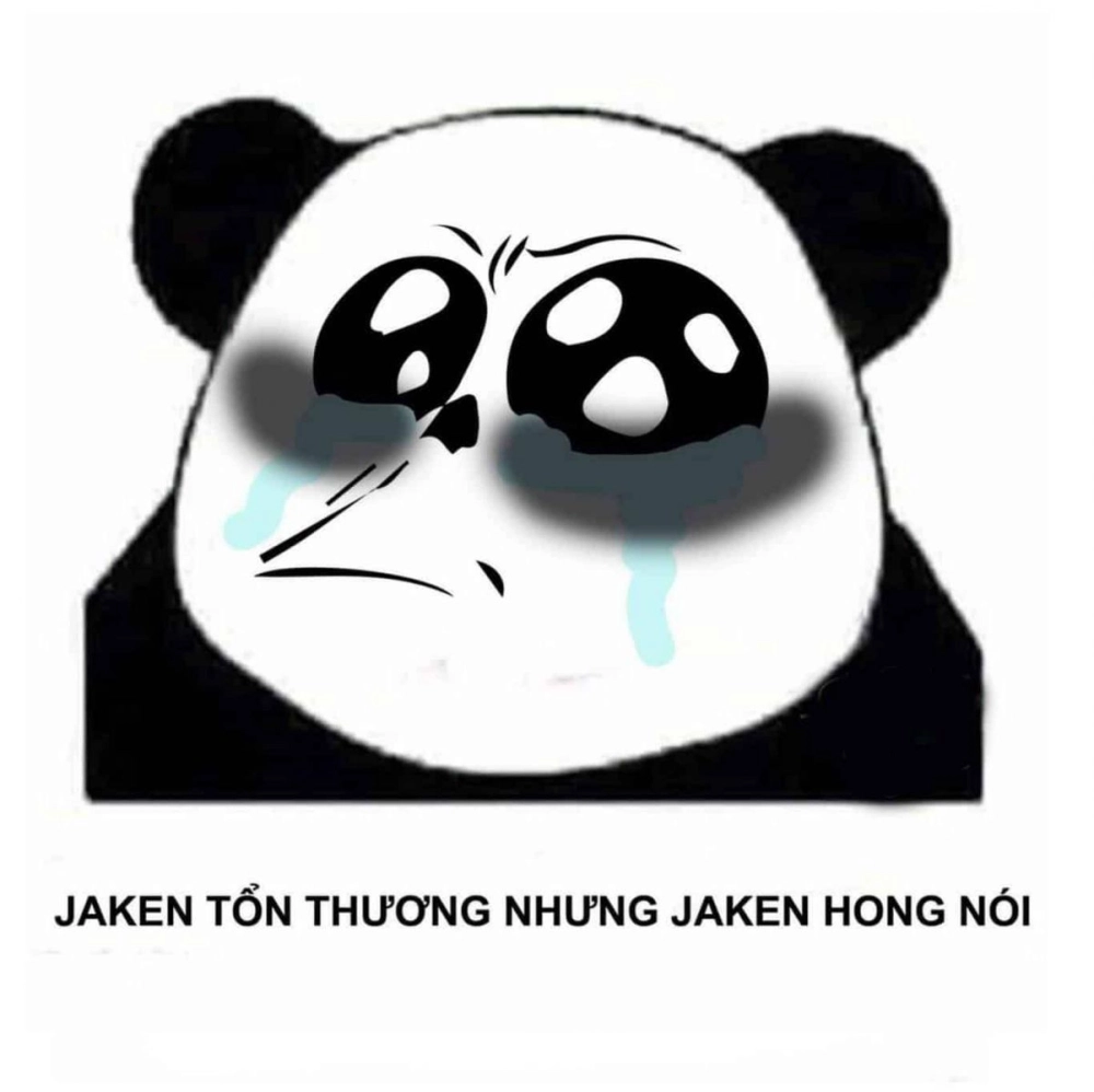 Trung Quốc không bao giờ làm ta thất vọng meme gấu trúc trung quốc