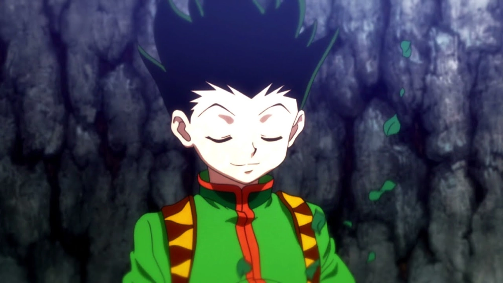 Gon Freecss hair color là đen tuyền và khỏe mạnh