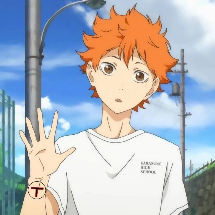 Hinata Shoyo fanfiction câu chuyện khiến fan rung động