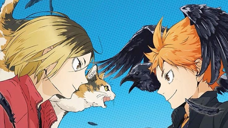 Hinata Shouyou anime mỗi bước chạy đều có ý nghĩa