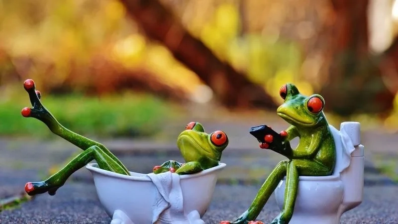 Chia sẻ ngay hình ảnh con ếch xanh