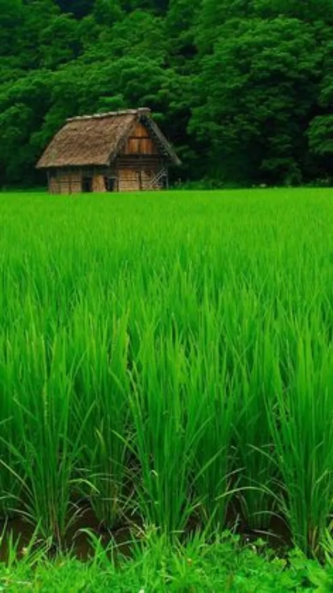 Hình nền điện thoại chất ngầu nam với avatar điện thoại