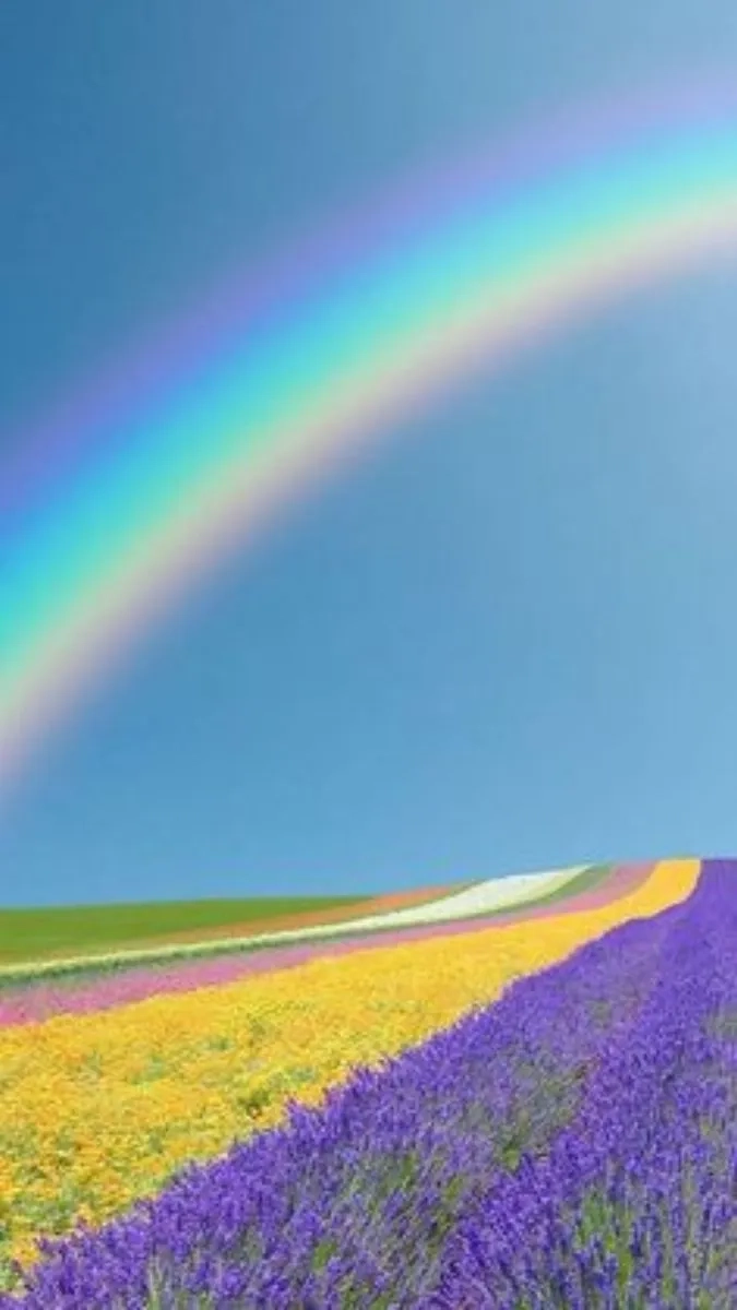 Hình nền điện thoại your name 4k và avatar điện thoại