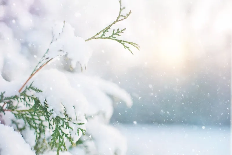 Chiêm ngưỡng bộ hình nền noel full hd cực đẹp