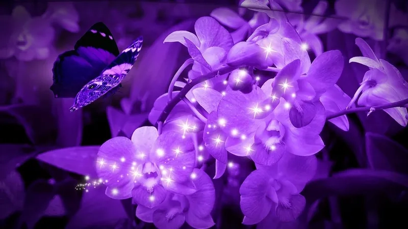 Tải ngay hình nền màu tim nhẹ nhàng cuốn hút