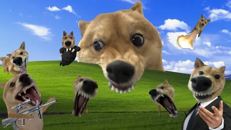 Không thể bỏ qua loạt ảnh hình nền máy tính meme cực hot