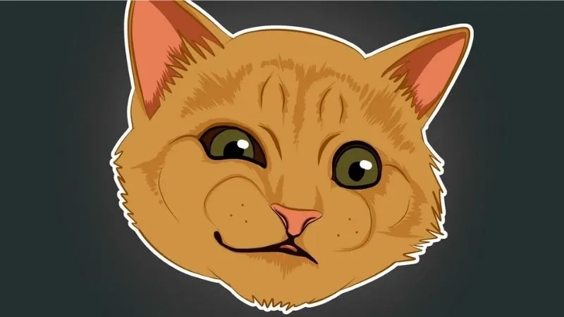 Dễ thương đến không ngờ với hình nền con mèo meme