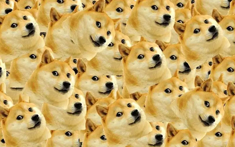 Siêu bựa siêu hài với hình nền meme con chó