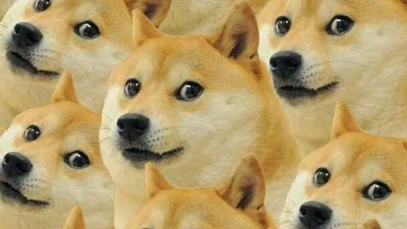 Tình bạn là mãi mãi qua hình nền chó shiba meme