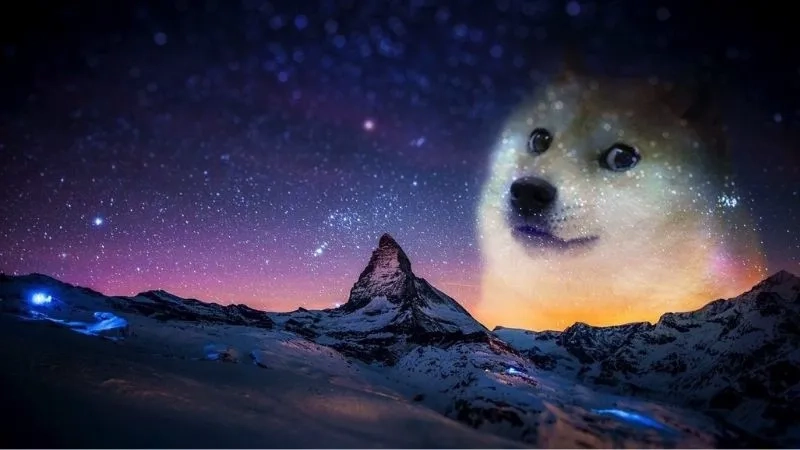 Shiba ngầu lòi trong hình nền meme cheems