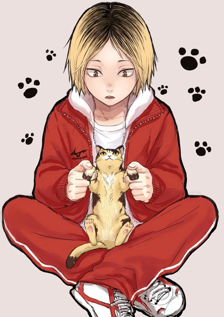 Mèo Kenma là hình tượng fan cực kỳ yêu thích