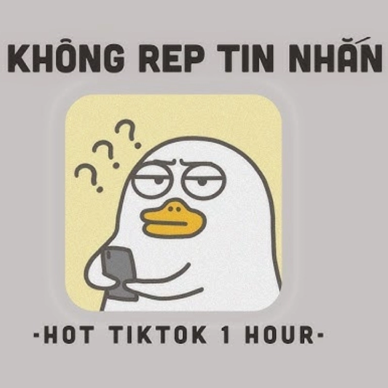 Không hiểu gì hết là mình mỗi lần nhìn meme không hiểu