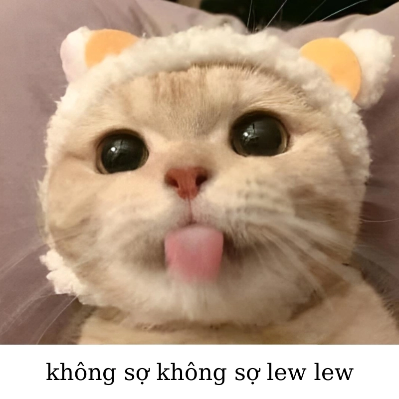 Gặp chuyện là lại dùng meme không biết để né tránh