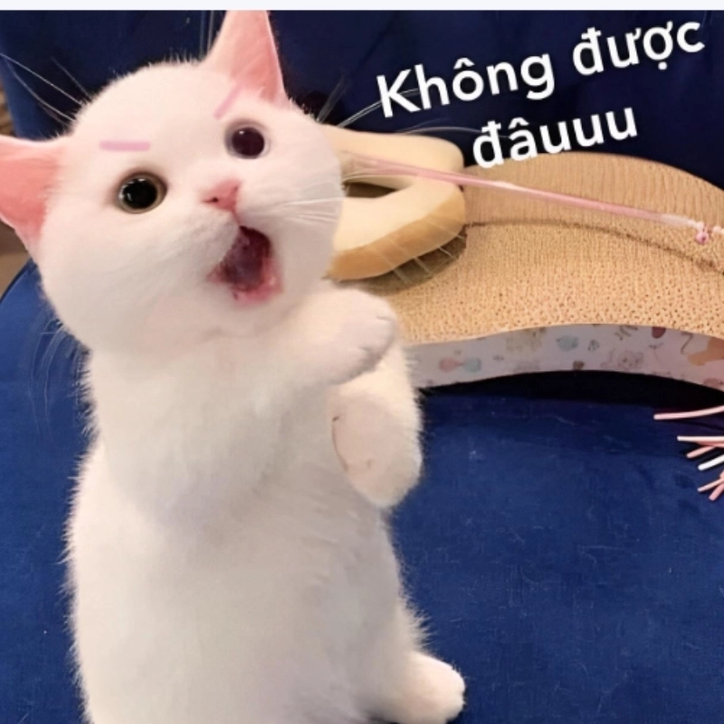 Buồn thì bật h2k đừng hỏi em ổn không meme lofi cho chill