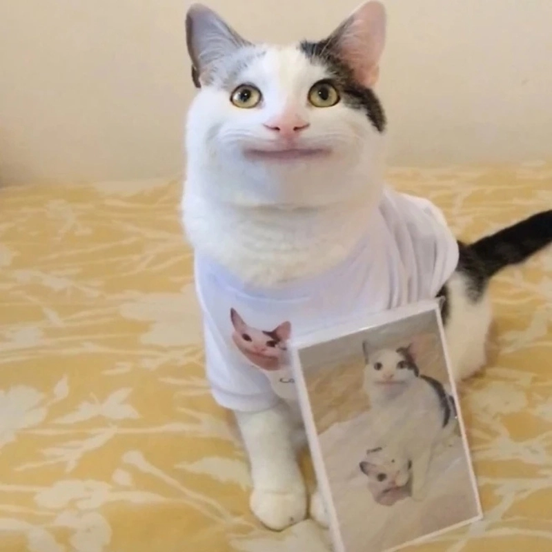 Khi bạn không còn gì để nói ngoài meme không biết nữa