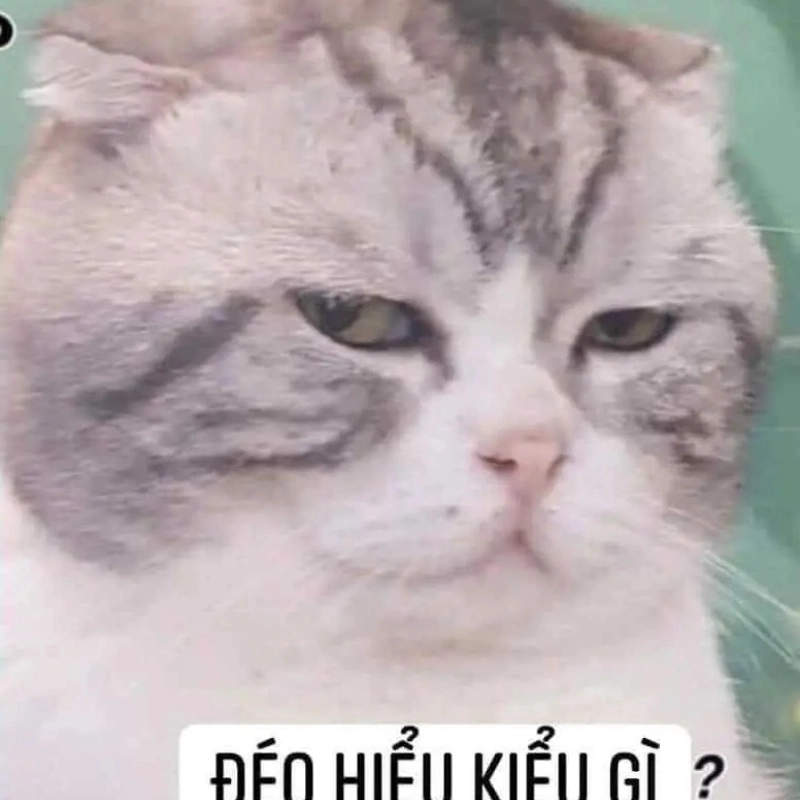 Từ chối nhẹ nhàng với meme không tao sợ nghiện lắm