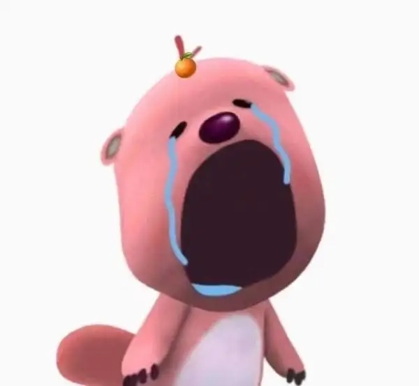 Đừng khóc nữa loopy meme khóc cũng đâu cứu vãn nổi